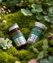Load image into Gallery viewer, GD 11 REPAIR AMPOULE PROGRAM [POWDER 100mg + SOLUTION 5ML/ 1-PAIR ] x2 (Sold in 2-Pair/2 Box)

